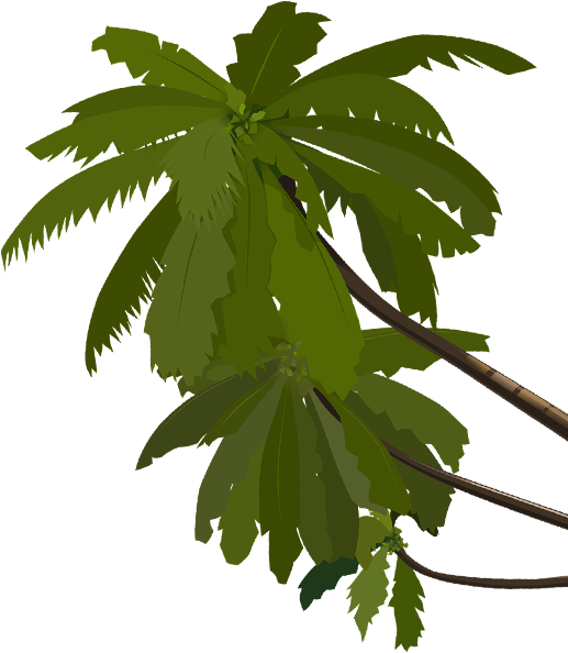 Palme